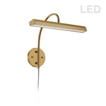 Dainolite Display/exhibit 24W Picture Light, Aged Brass PIC120-16LED-AGB. Fixed Price $238.00.