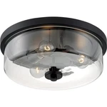 Nuvo Lighting 60/7269 Sommerset Flush Mount Matte Black. Fixed Price $234.99.
