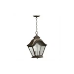 Quorum International 7452-2-46 Artisan's Grove Two Light Outdoor Pendant From. Fixed Price $54.99.