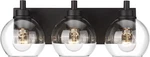 Modern 3-LIGHT Matte Black Bathroom Vanity With Clear Glass Shades. Fixed Price $113.99.