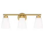 Vanity Gold Finish Dsi Lighting 22IN New. Fixed Price $49.50.