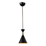 Kenroy Home Arne 1-LIGHT Mini Pendant Matte Black With Antique Brass Finish. Fixed Price $21.00.
