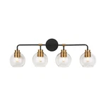 Home Decorators Lawrence 4-LIGHT Aged Bronze And Brass Vanity Wall Fixture. Fixed Price $28.49.