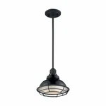Nuvo Newbridge 1 Light Small Pendant. Fixed Price $134.99.