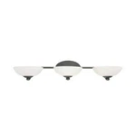 Dolan Designs Rainier Light Bath 3903-78. Fixed Price $47.99.