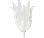 Capital 649511XW Eden Wall Sconce, 1-LIGHT 60 Watts, Textured White. Fixed Price $85.31.