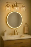 Golden Lighting 3610-BA3 Bcb-clr Daphne 3-LIGHT Champagne Bronze Vanity. Fixed Price $189.95.