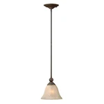 Hinkley Lighting Bolla 1 Mini-pendant, Olde Bronze 4667OB. Fixed Price $50.99.