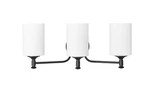 Millennium Lighting 91033 Ailey 22"W Vanity - Black. Fixed Price $66.00.