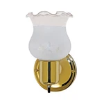 Nuvo Light 5" Vanity, Frosted Grape Shade, Polished Brass SF77-120B. Fixed Price $29.99.