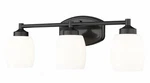 Z-lite 745-3V-MB Bathroom Fixtures Indoor Lighting. Fixed Price $81.00.