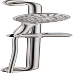 Brushed Nickel Shower Set With Handheld Head & Grab Bar For Easy Use. Fixed Price $143.99.