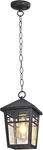 Moonlok Matte Black Indoor/outdoor Pendant Light Hanging Porch Lantern Ceiling. Fixed Price $34.50.