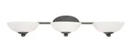 Dolan Designs 3903-78 Rainier Light 32 Inch Bolivian Bath Vanity Wall. Fixed Price $79.30.