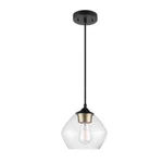 Globe Electric 1-LIGHT Matte Black Pendant With 15FT Cord Plug-in/hardwire. Fixed Price $14.99.