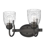 Golden Lighting 8001-BA2 Sd Parrish 14"W Bathroom Vanity Bronze. Fixed Price $64.46.