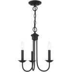 Livex Lighting 42683-04 Estate 14 Inch Black Chandelier Ceiling. Fixed Price $155.96.