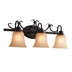 Portfolio Stone Hollow 24-IN 3-LIGHT Bronze Transitional Vanity Bar. Fixed Price $63.99.