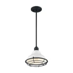 Nuvo Lighting Newbridge 1 9.75" Pendant, White/black 60-7023. Fixed Price $134.99.