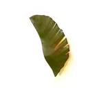 Varaluz Banana Leaf Light Wall Sconce, - 901K02. Fixed Price $329.00.