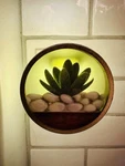 Better Homes & Gardens Succulent Fragrance Oil Diffuser Green Cactus Led Light. Fixed Price $10.95.