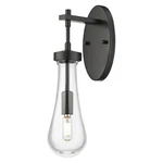 Innovations Lighting 451-1W-G451-4CL Owego 16" Tall Bathroom Black. Fixed Price $197.12.