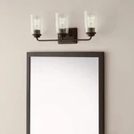 Hampton Bay Evangeline 23 In. 3-LIGHT Modern Bronze Farmhouse Bathroom Vanity. Fixed Price $40.99.