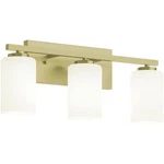 Afx Inc. LEOV2209MBLB Bathroom Vanity Light Antique Brass. Fixed Price $84.00.