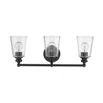 Acclaim Lighting IN41402ORB Ceil Bathroom Vanity Oil-rubbed Bronze. Fixed Price $128.00.