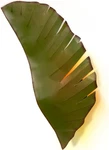 Elegant Banana Leaf 2-LIGHT Wall Sconce Stunning Finish. Fixed Price $368.99.