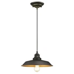 Westinghouse Iron Hill Light 12" Pendant, Bronze/metal Shade - 6344700. Fixed Price $74.99.
