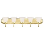 Livex Lighting 1075-02 Riviera Polished Brass Bath Vanity. Fixed Price $325.90.