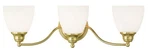 Livex Lighting 13673 Brass Somerville 3-LIGHT Bathroom Vanity. Fixed Price $179.96.