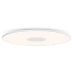 Circa Wall Sconce Flushmount By Pablo Pardo For Designs 16" New Open Box. Fixed Price $488.00.