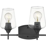 Z-lite 473-2V-MB Joliet Light 15 Inch Matte Black Vanity Wall. Fixed Price $95.20.
