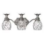 Hinkley Lighting Plantation Bath Light, Antique Nickel - 5313PL. Fixed Price $364.65.