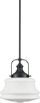 Deynite Industrial Pendant Light Fixtures Black Hanging Adjustable Schoolhouse. Fixed Price $80.00.