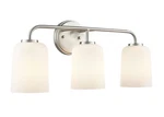 Millennium Lighting 214203 Laphia 22"W Vanity - Nickel. Fixed Price $119.90.