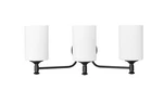 Matte Black Three Light Vanity From The Ailey Collection. Fixed Price $159.90.