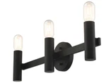 New Livex Lighting 10343 Copenhagen 24"W Bathroom Vanity - Black. Fixed Price $47.89.