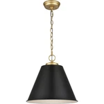 Elk Home 68164/1 Open Box Vellus Pendant Matte Black With Natural Antique Brass. Fixed Price $149.00.