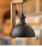 River Of Goods Black Metal And Wood Dome Shade Plug In Wall Sconce. Fixed Price $35.63.