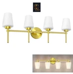Yhtlaeh New Bathroom Vanity Fixtures 3 Lights Brushed Brass Glass Shade. Fixed Price $69.99.