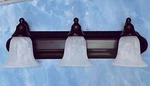 Dolan Designs 469-30 Royal Bronze Light 24" Bathroom Vanity W Alabaster Glass. Fixed Price $32.21.