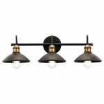 Clyde - 3 Light Bath Vanity Approved For Damp Locations With Vintage. Fixed Price $249.99.