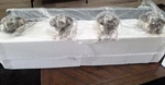 New - Kawoti Olan 21168 30" 4 Light Brushed Nickel Vanity Nib. Fixed Price $57.99.