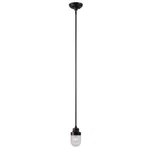 World Imports Brandon 1-LIGHT Bronze Mini-pendant With Glass Shade. Fixed Price $34.03.