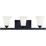 Livex Lighting 6493-04 Ridgedale 25 Inch Black Bath Vanity Wall. Fixed Price $180.77.