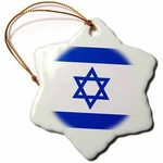 3DROSE Israeli Flag - Blue And White With Magen David Star Jewish State Of. Fixed Price $14.99.