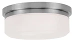 Livex Lighting 7390 Nickel 2-LIGHT 8"W Flush Mount Ceiling Fixture / Wall Sconce. Fixed Price $113.96.